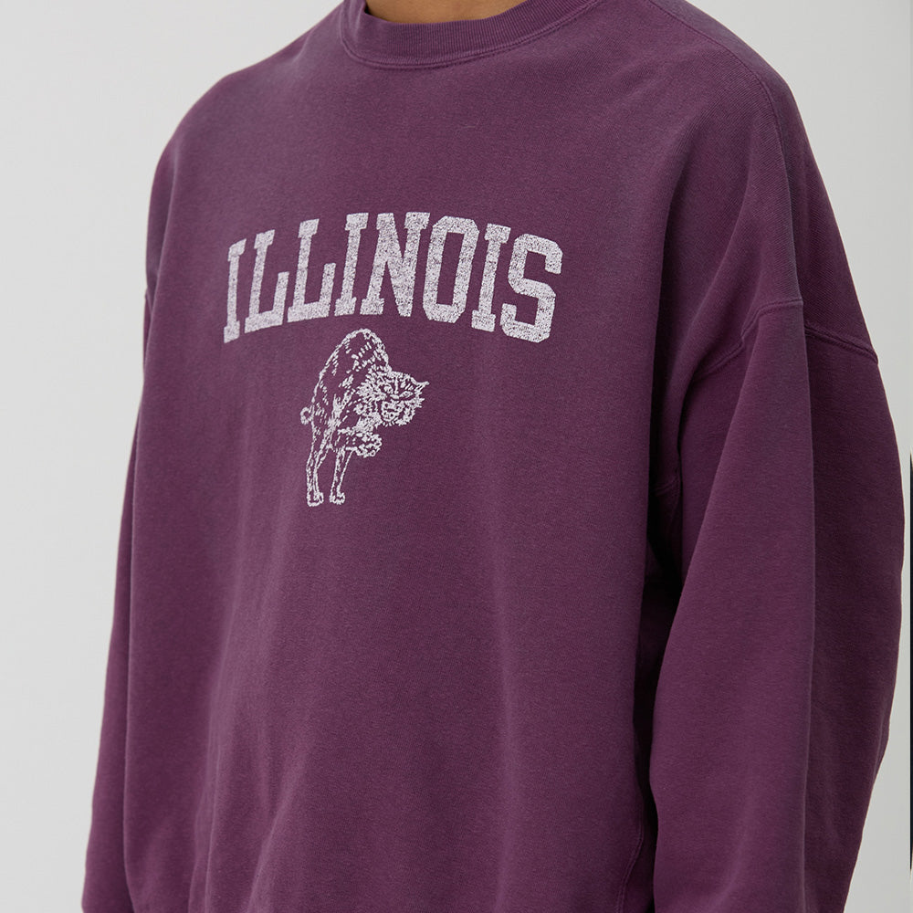 SP加⼯3⾶び裏⽑クルー(ILLINOIS)日焼け&ペンキ加工