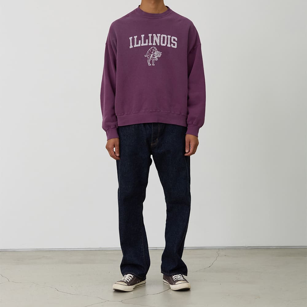 SP加⼯3⾶び裏⽑クルー(ILLINOIS)日焼け&ペンキ加工