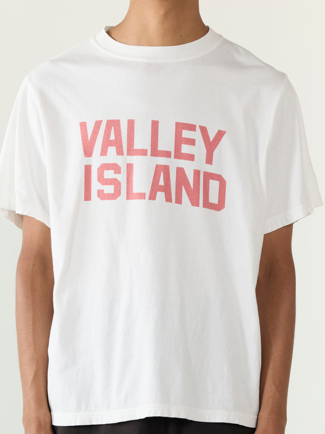 HARD SP加⼯20/天竺レギュラー T(VALLEY ISLAND)