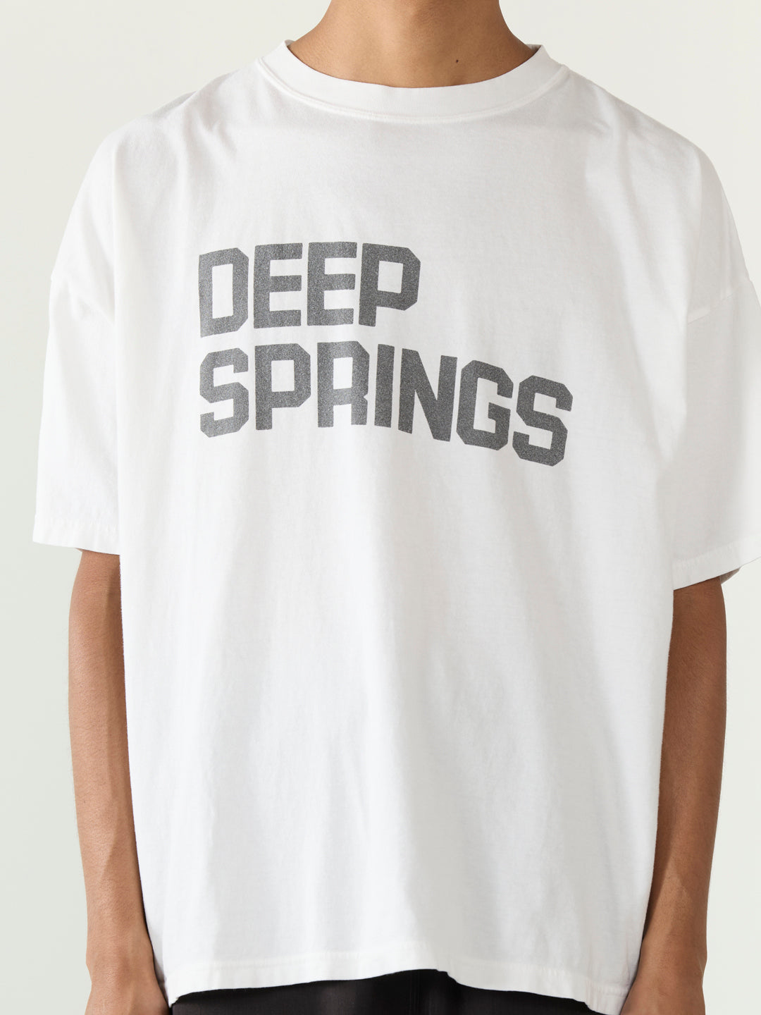 HARD SP加⼯20/天竺BIGサイズT(DEEP SPRINGS)