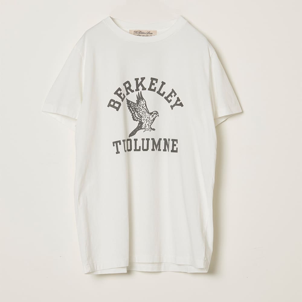 LW processed T (BERKELEY)