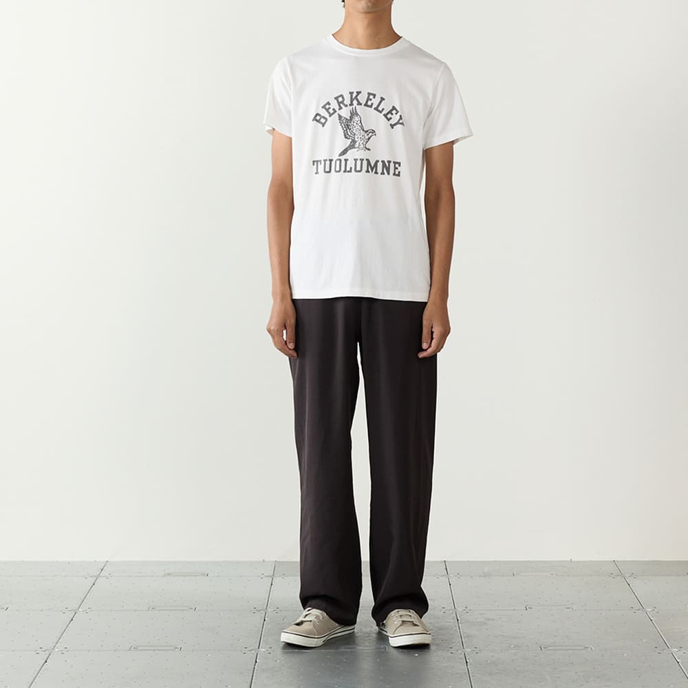 LW processed T (BERKELEY)