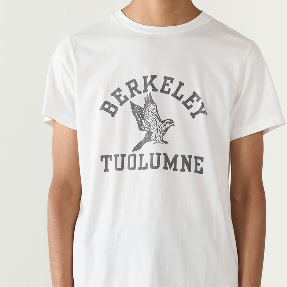 LW processed T (BERKELEY)