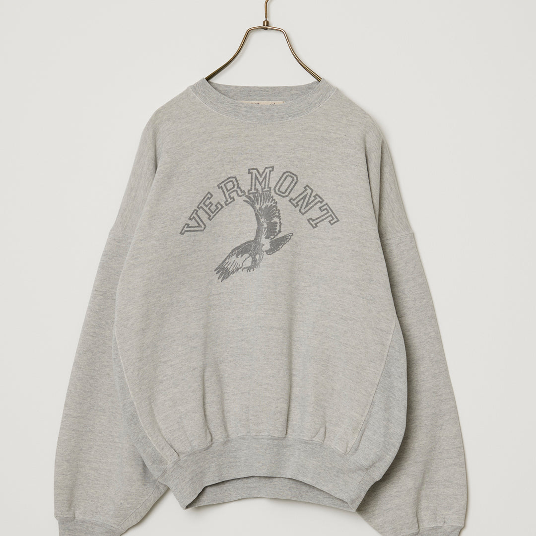 SP가 3번째 뒤 승무원(VERMONT)