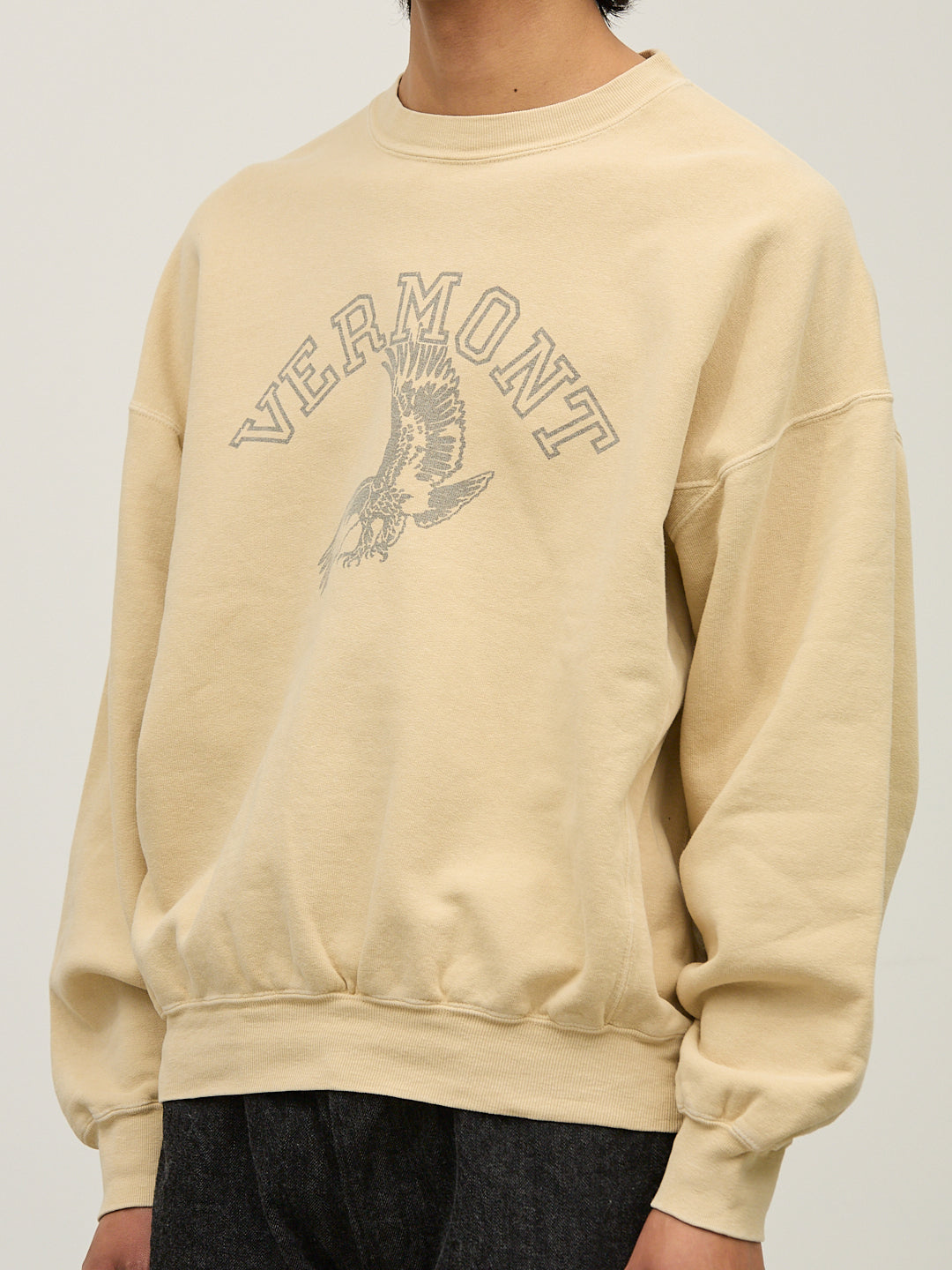 SP가 3번째 뒤 승무원(VERMONT)