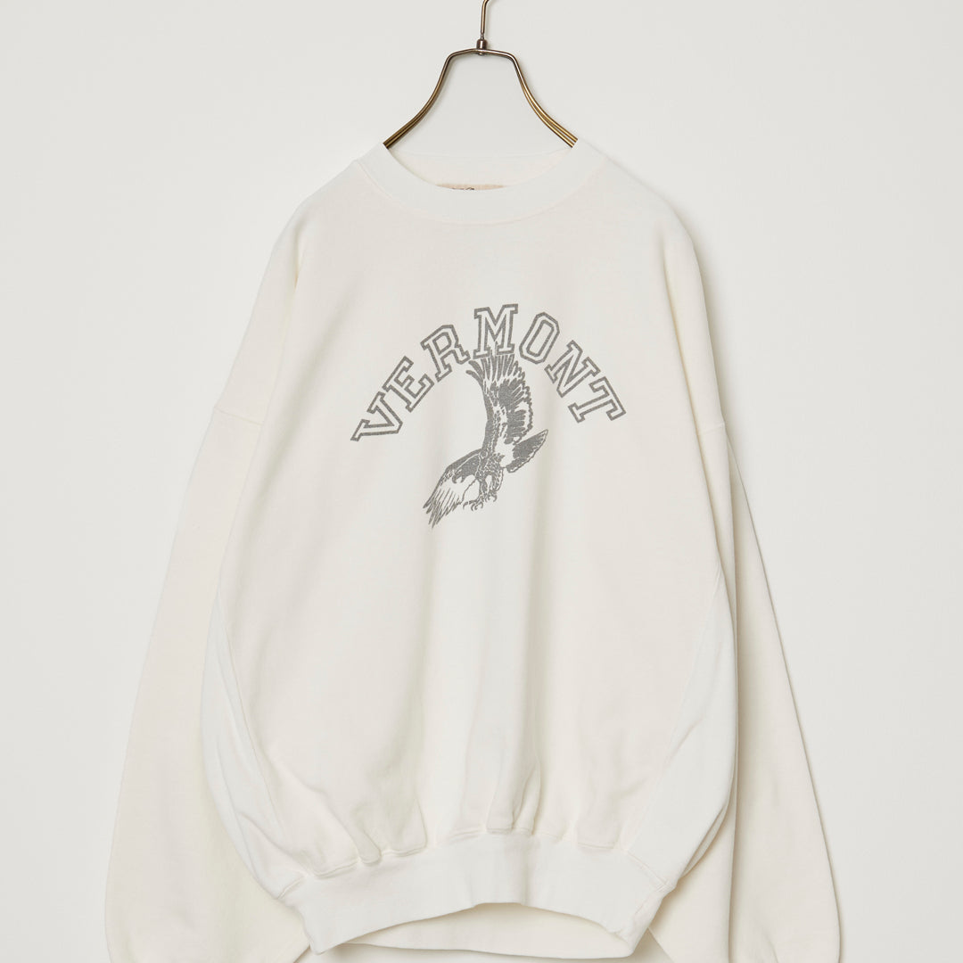 SP가 3번째 뒤 승무원(VERMONT)