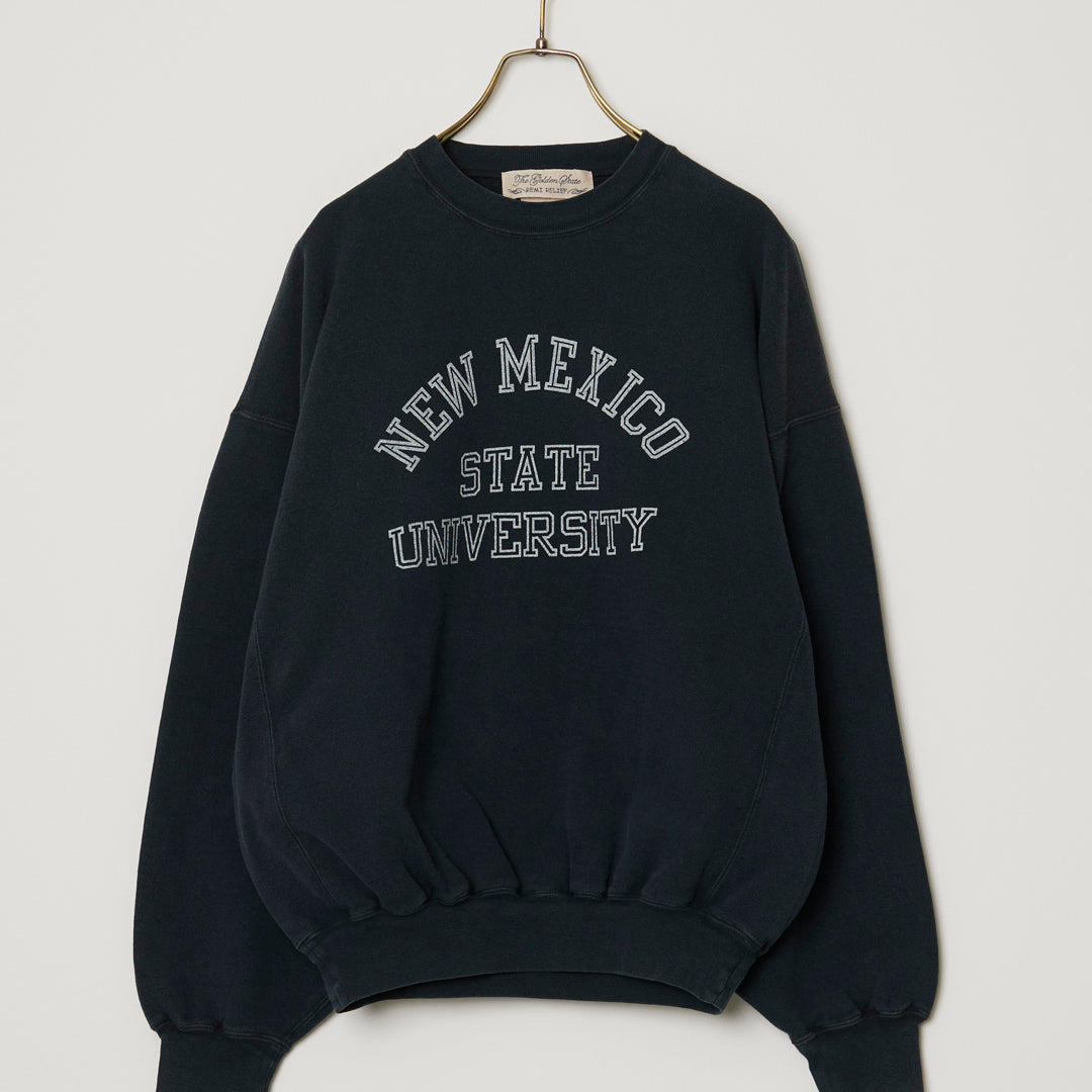 SP가 3번째 뒤 승무원(NEW MEXICO)