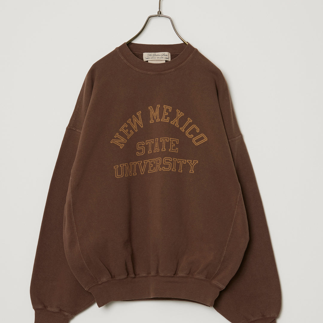 SP가 3번째 뒤 승무원(NEW MEXICO)