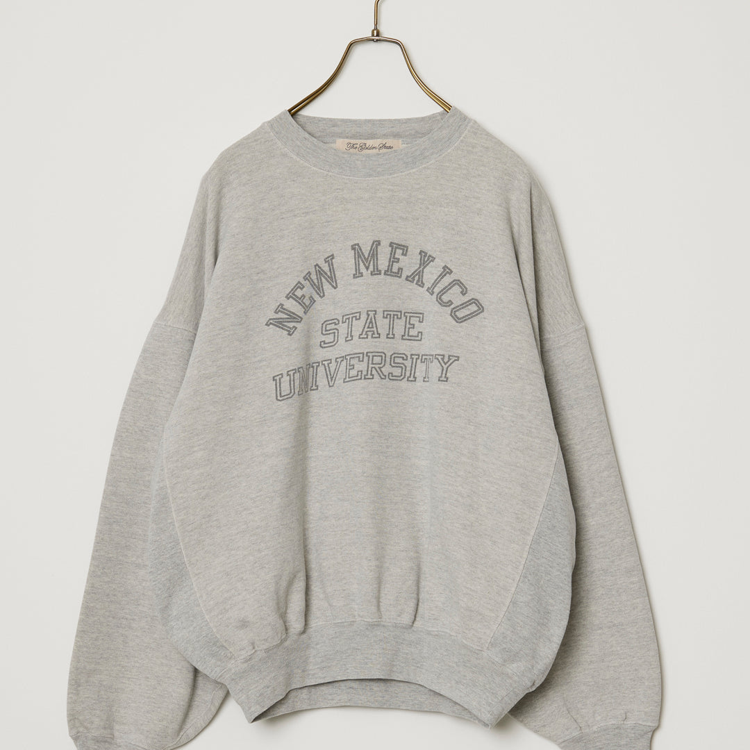 SP가 3번째 뒤 승무원(NEW MEXICO)