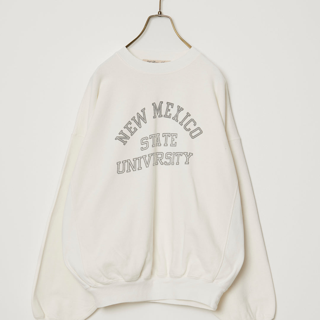 SP가 3번째 뒤 승무원(NEW MEXICO)