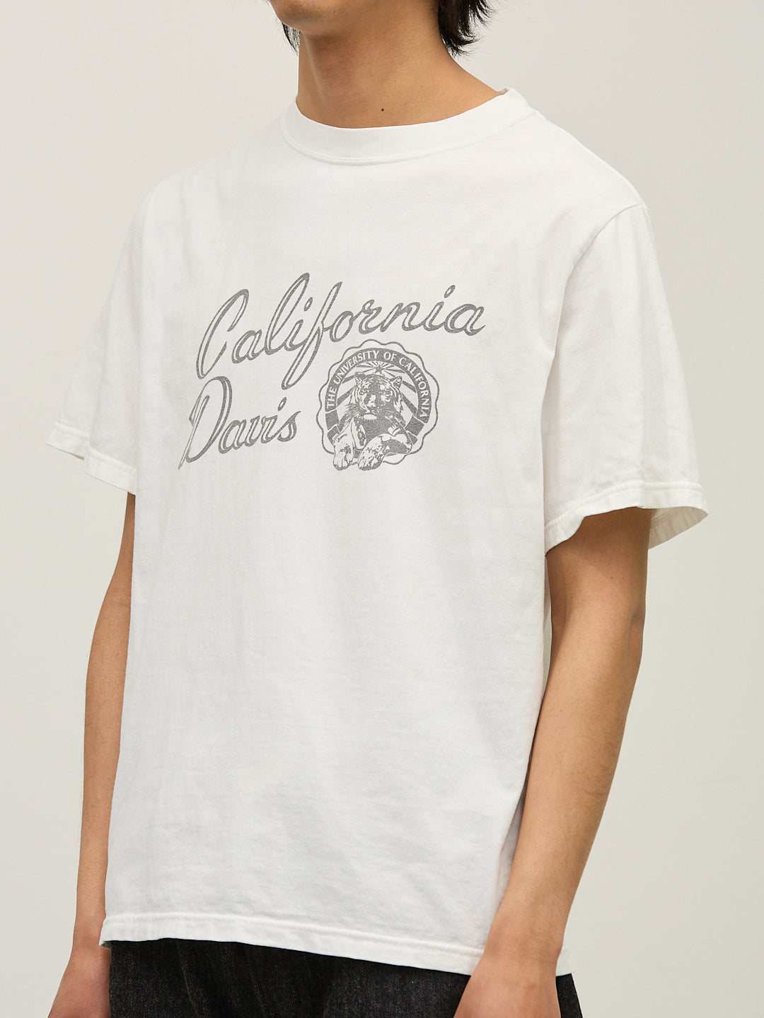 HARD SP Processing 20/Tenjiku Regular T (California Dais)