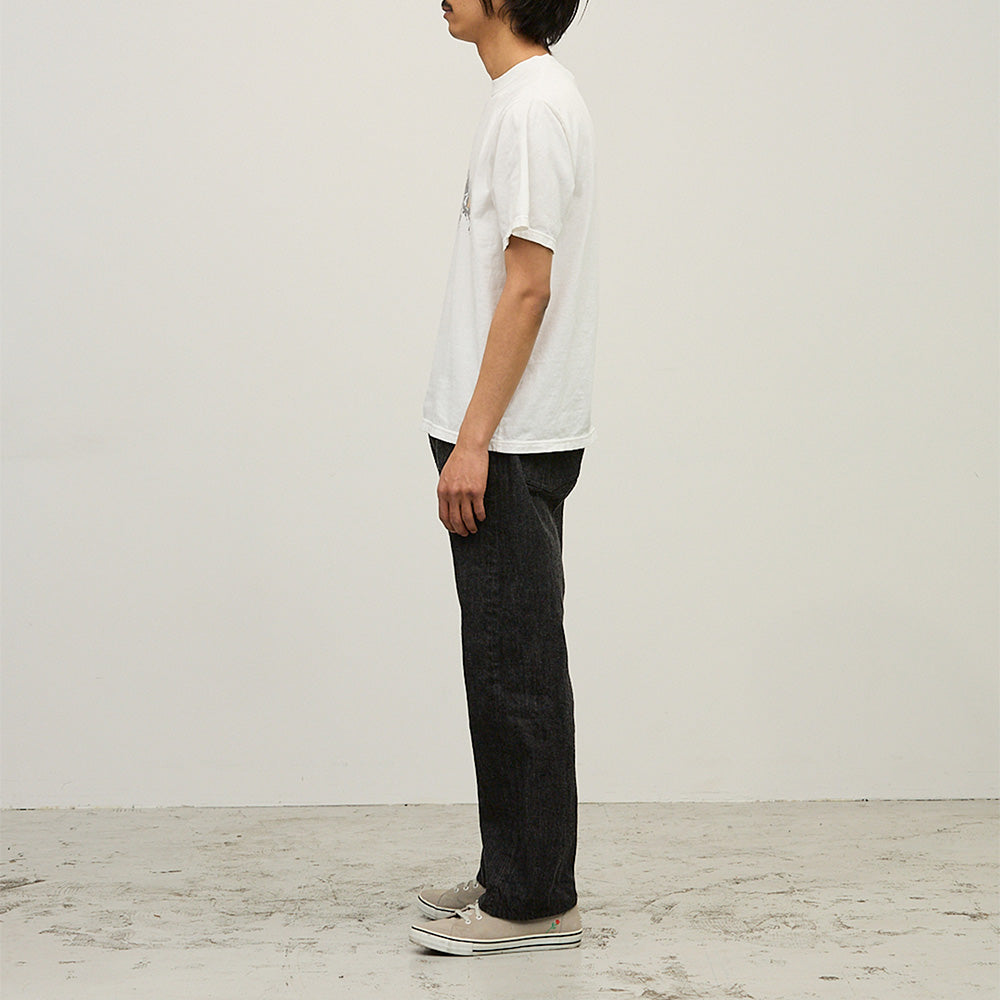 Hard SP Processed 20/Tencel Regular T-shirt (MONTANA)