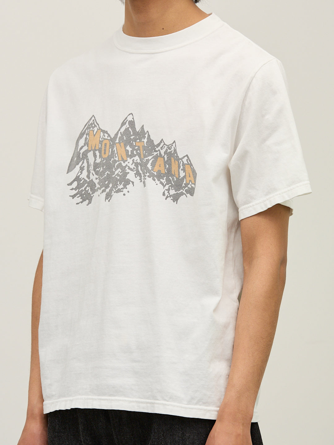 HARD SP Processing 20/Tenjiku Regular T(MONTANA)