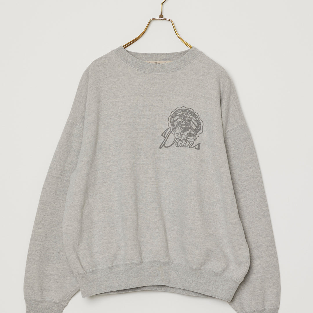 SP 가기기 뒤 승무원(Davis)