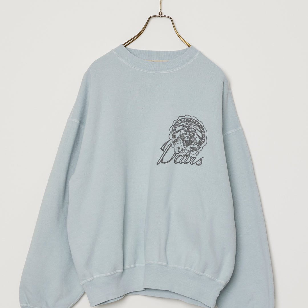 SP processed hair backing crew (Davis)