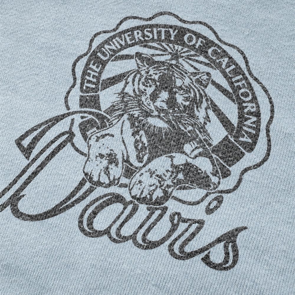 SP Processed Brushed Fleece Crew (Davis)