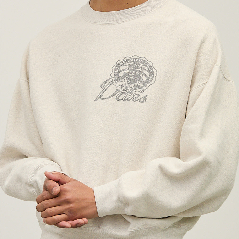 SP Processed Brushed Fleece Crew (Davis)