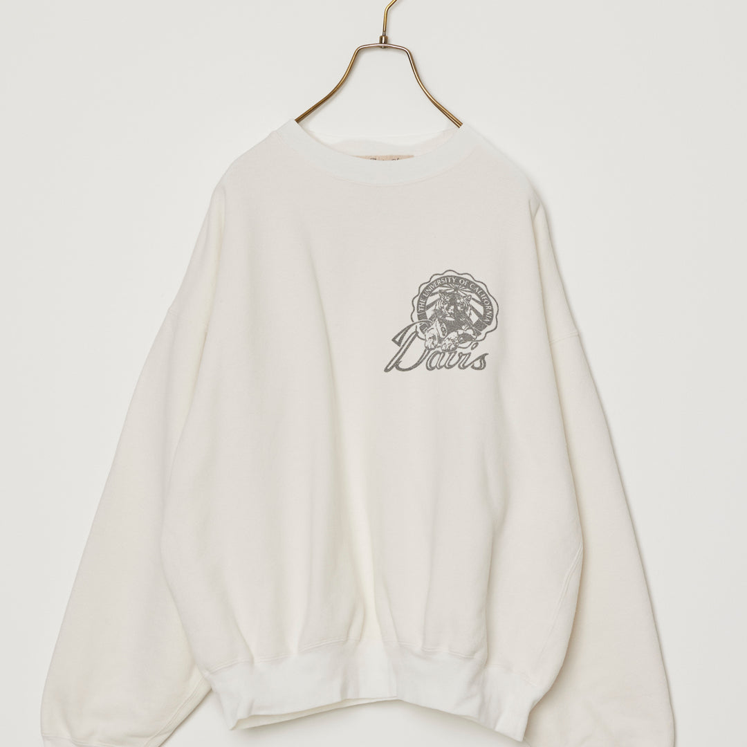 SP 가기기 뒤 승무원(Davis)