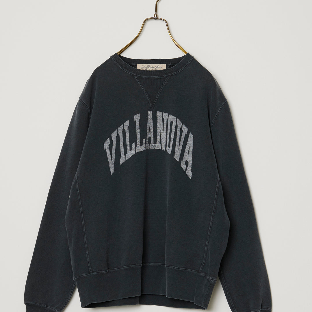 SP가 뒷면 승무원(VILLANOVA)