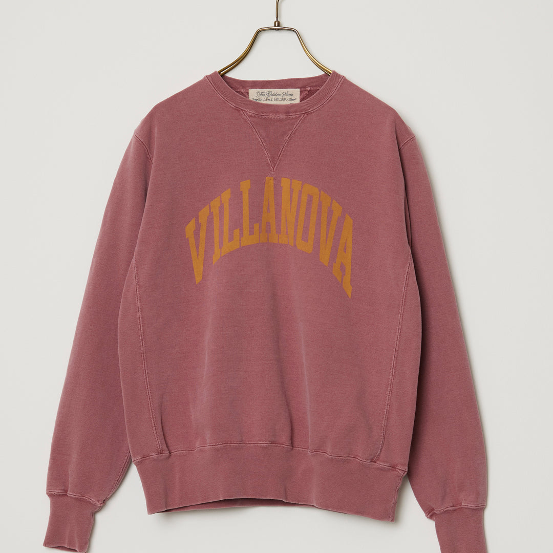 SP가 뒷면 승무원(VILLANOVA)