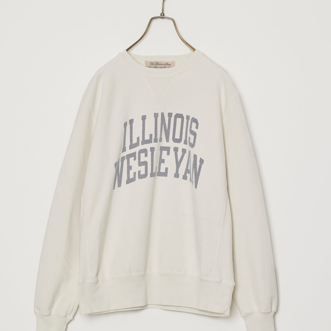 SP Processing Back Hair Crew (ILLINOIS WESLEYAN)