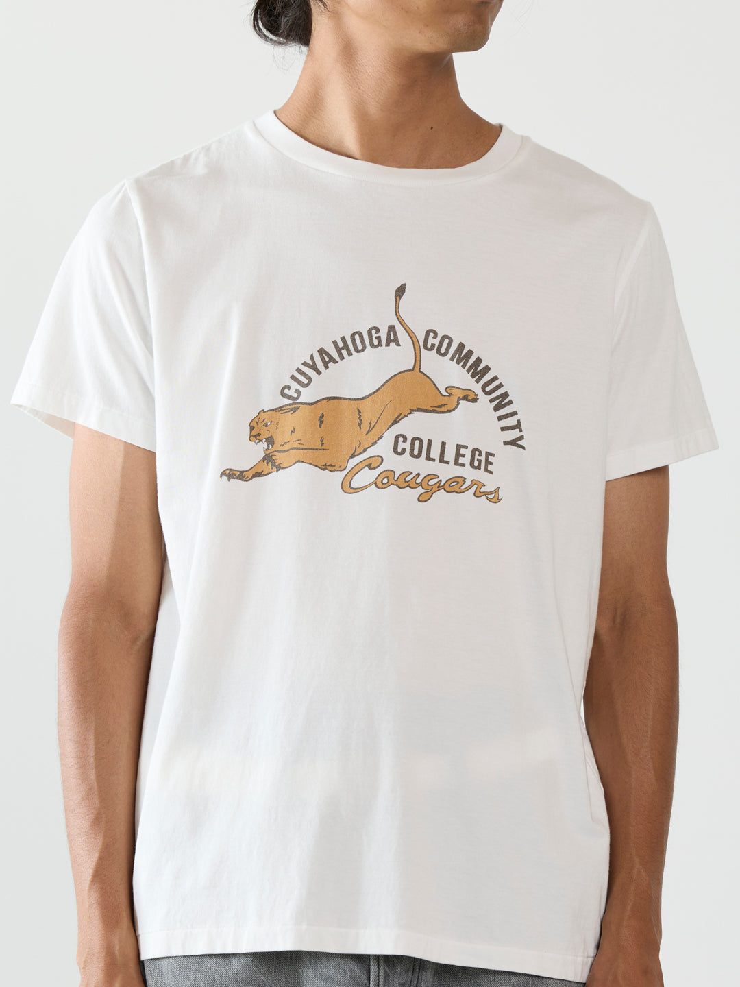 LW processing T (Cougars)