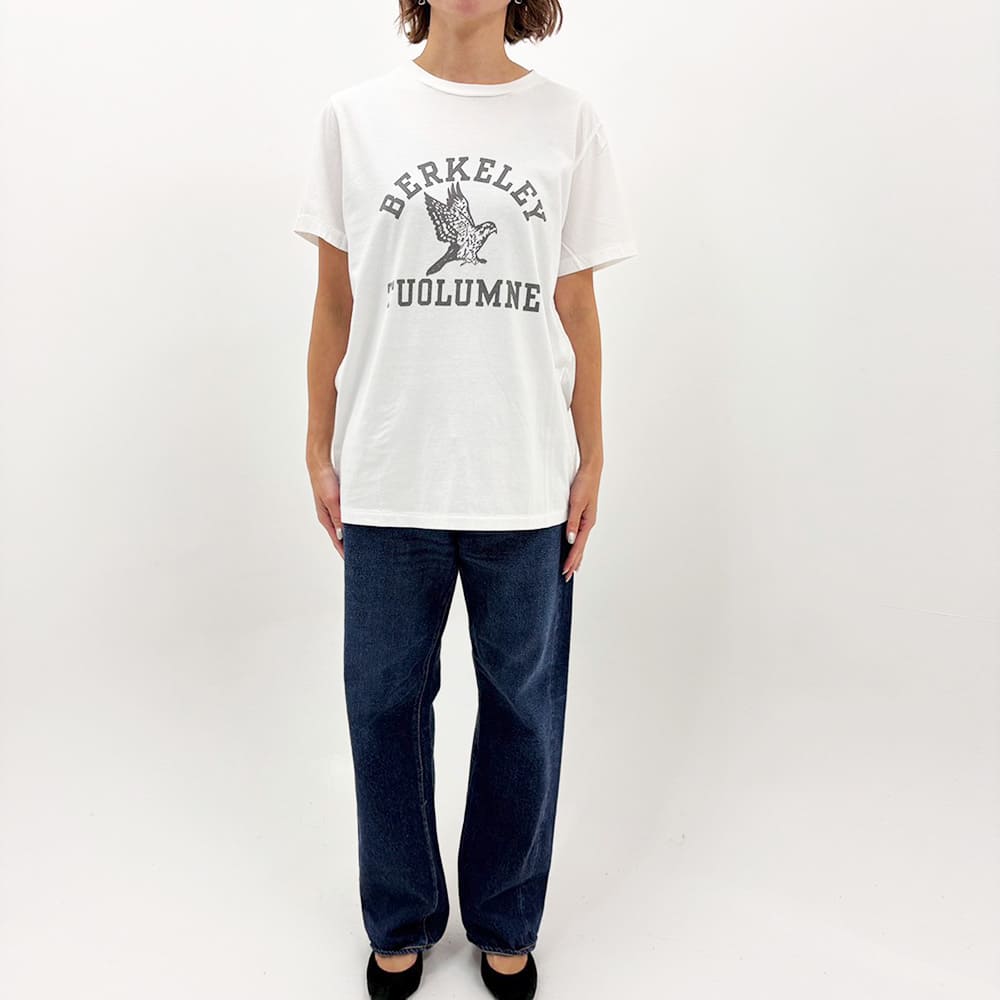 LW processed T (BERKELEY)